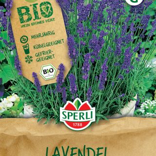 Tähkälaventeli Luomu BIO SPERLI