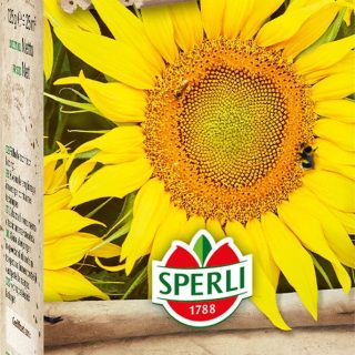 SPERLI's Sonnenblume Auringonkukka, 125 g