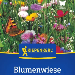 Niittyseos Blumenwiese 25 m2 (250 g)