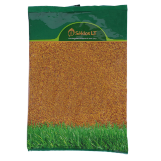Valkoapila 1000 g 'Rivendel' pienilehtinen