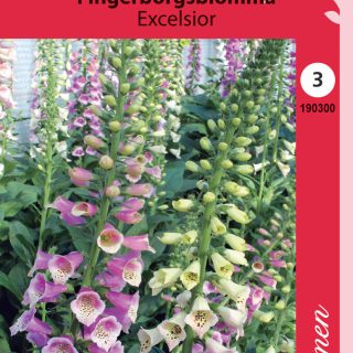 Sormustinkukka (Rohtosormustinkukka) Excelsior sekoite