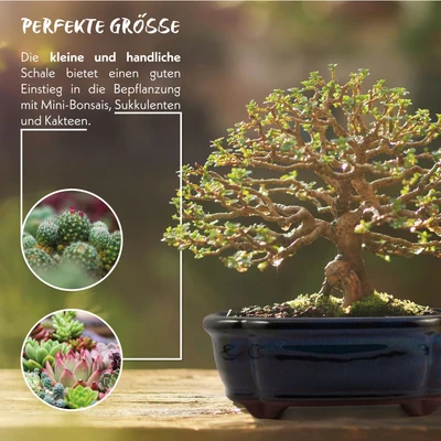 Bonsai ruukku 150 x 110 mm - Image 3