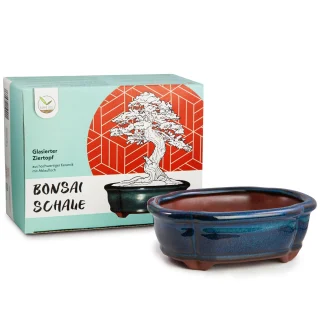 Bonsai ruukku 150 x 110 mm