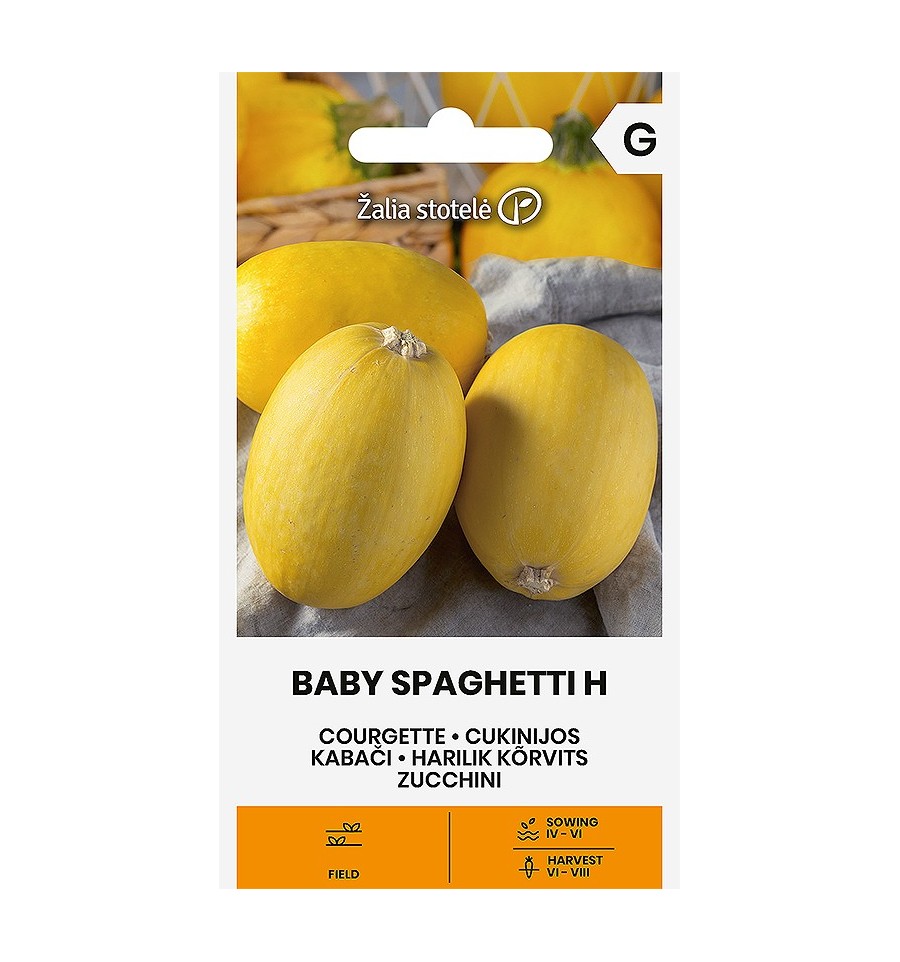 Baby Spaghetti kesäkurpitsa F1