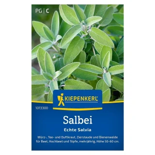 Ryytisalvia Kiepenkerl