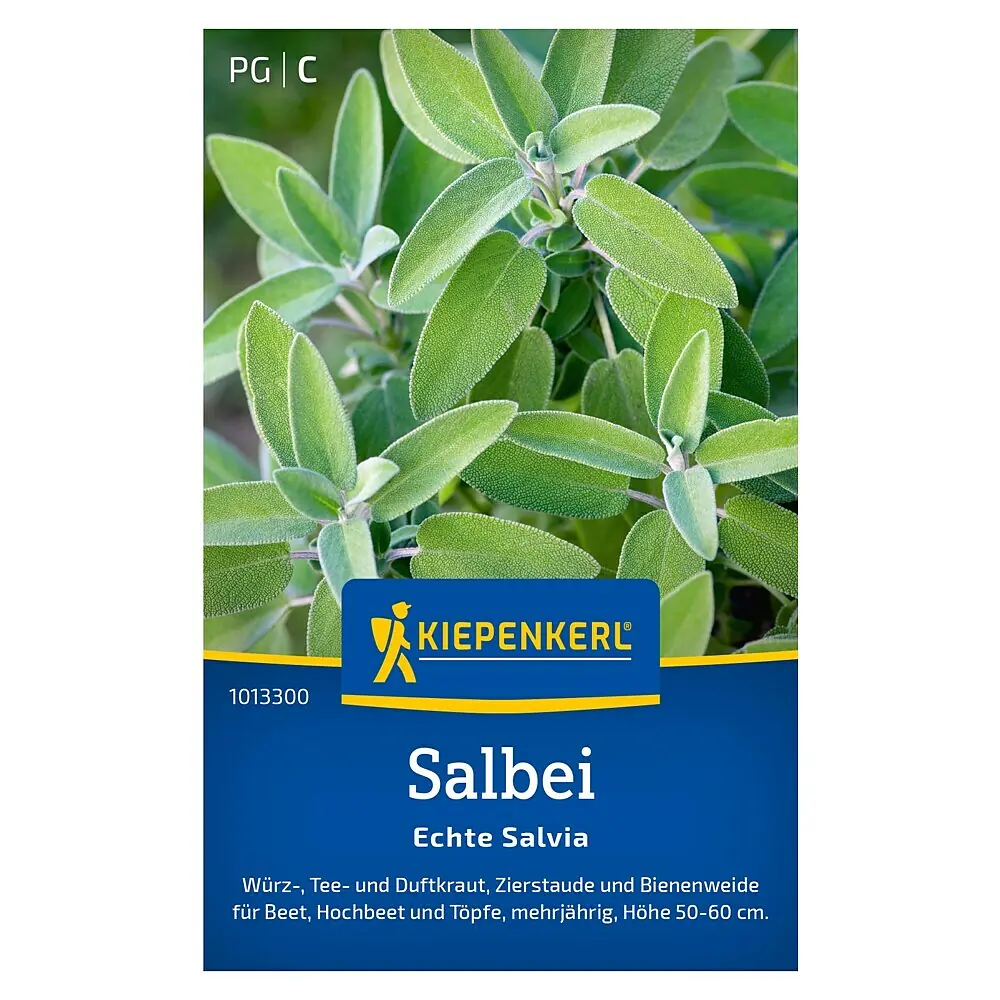 Ryytisalvia Kiepenkerl