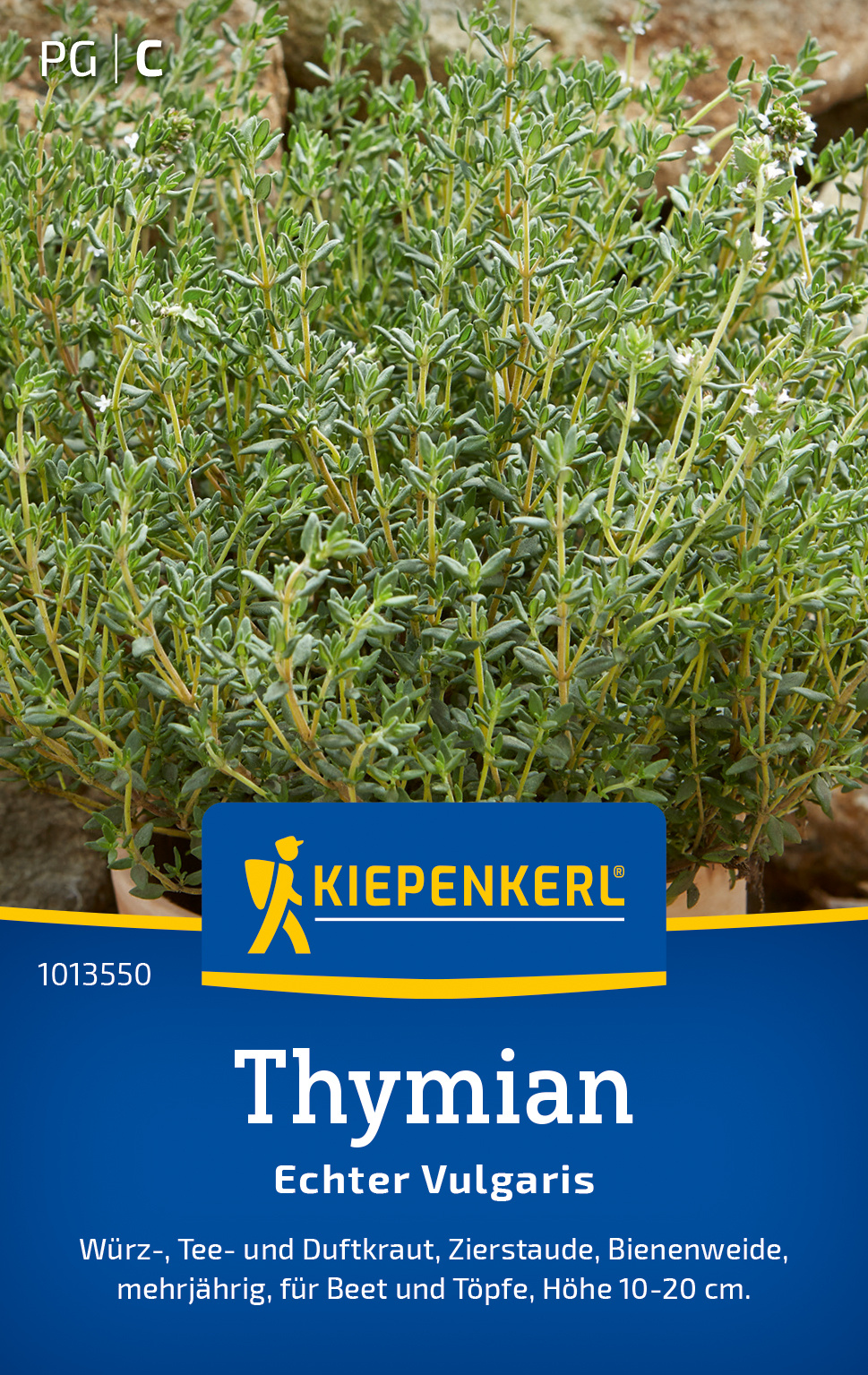 Timjami 'Echter Vulgaris' Kiepenkerl