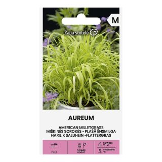 Lehtotesma 'Aureum'