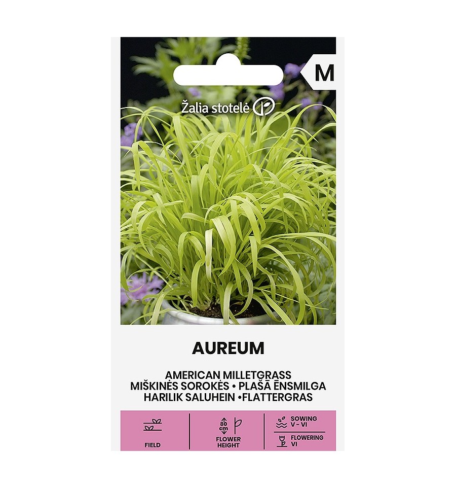 Lehtotesma 'Aureum'