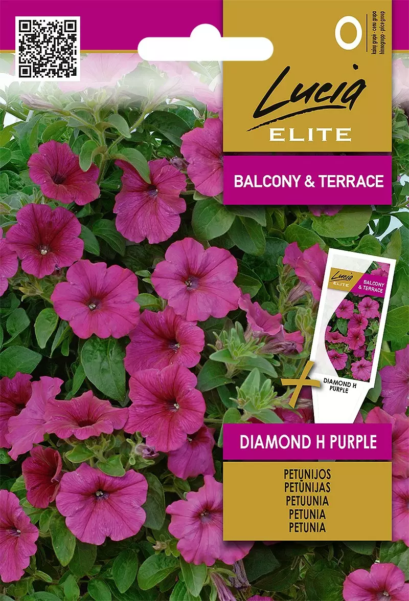 Riippapetunia Diamond H Purple