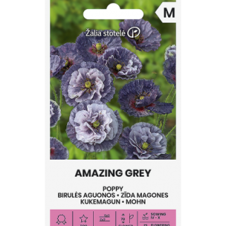 Silkkiunikko 'Amazing Grey' harmaansininen