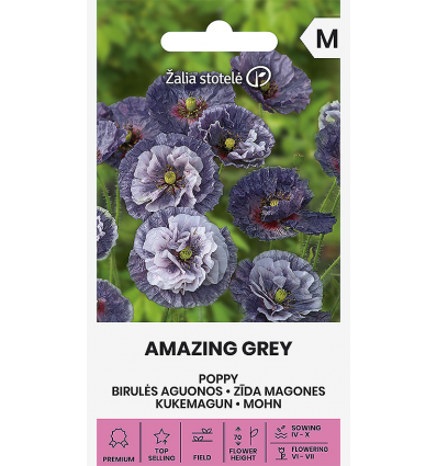 Silkkiunikko 'Amazing Grey' harmaansininen
