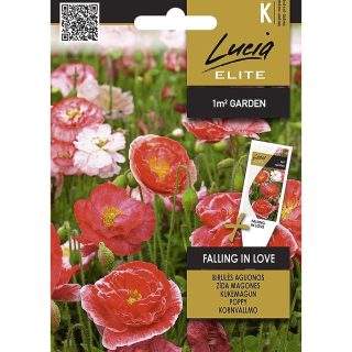 Silkkiunikko 'Falling in Love'