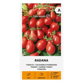 Radana tomaatti